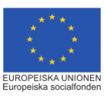 EU_flagga_EurSocfond_cmyk arial_700